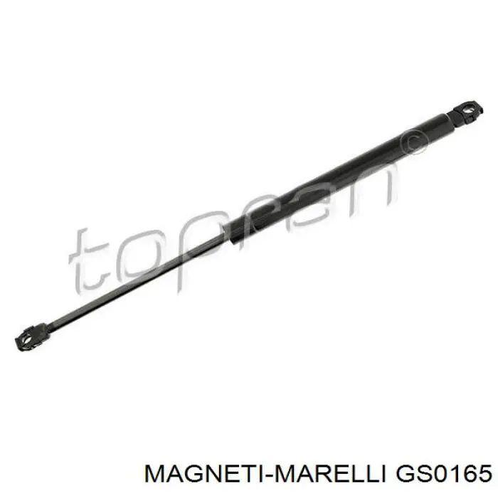 GS0165 Magneti Marelli amortiguador maletero