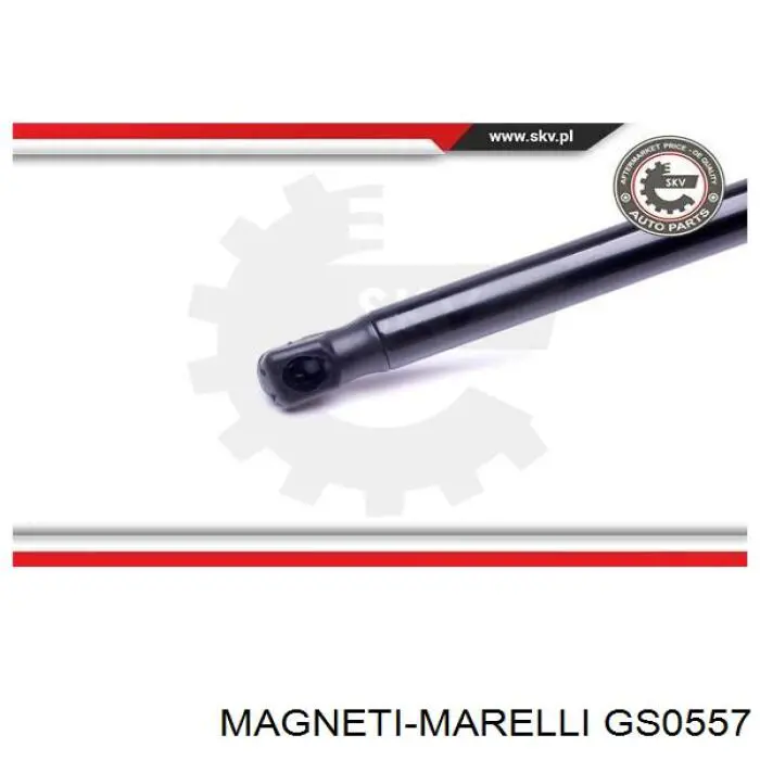 GS0557 Magneti Marelli amortiguador de maletero