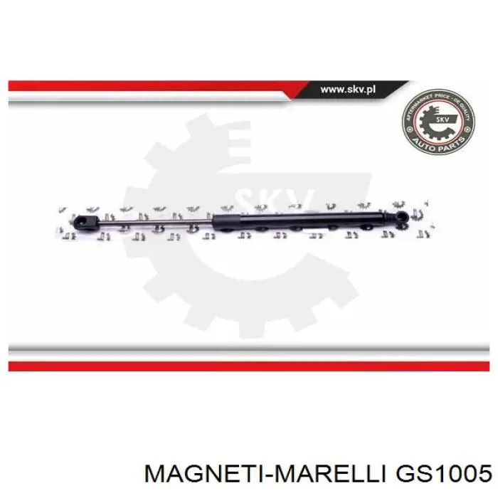 GS1005 Magneti Marelli amortiguador de maletero