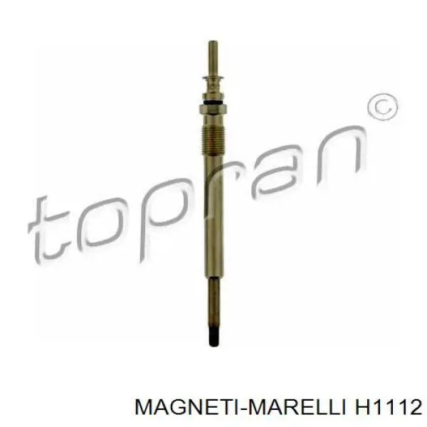 Bombilla Nissan Terrano 2 R20