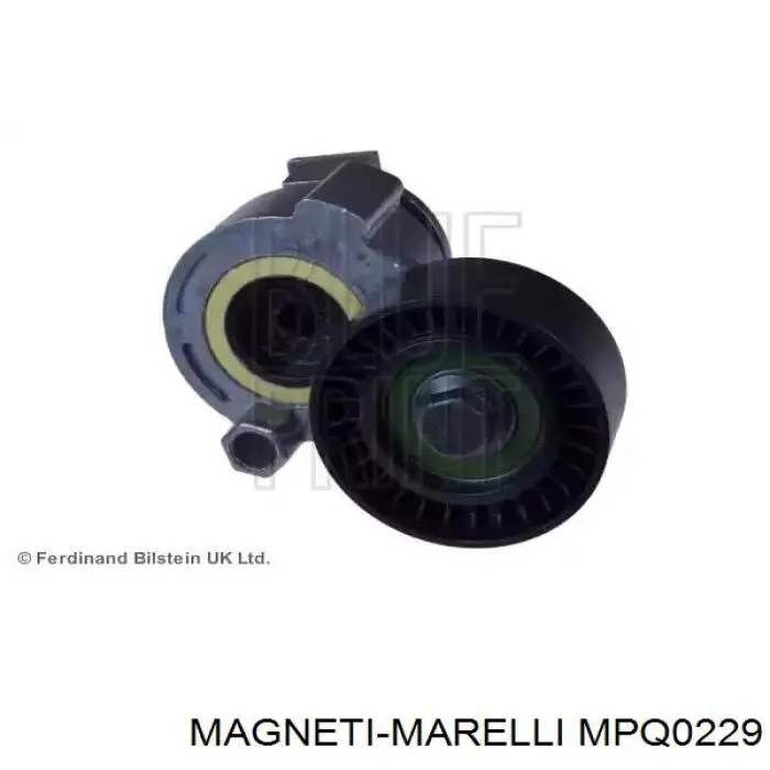 MPQ0229 Magneti Marelli tensor de correa, correa poli v