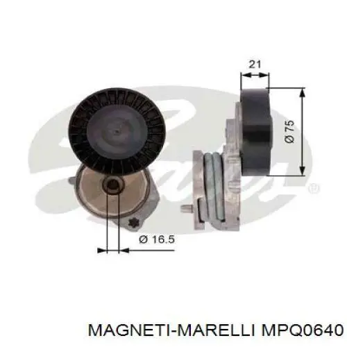 MPQ0640 Magneti Marelli rodillo, correa trapecial poli v