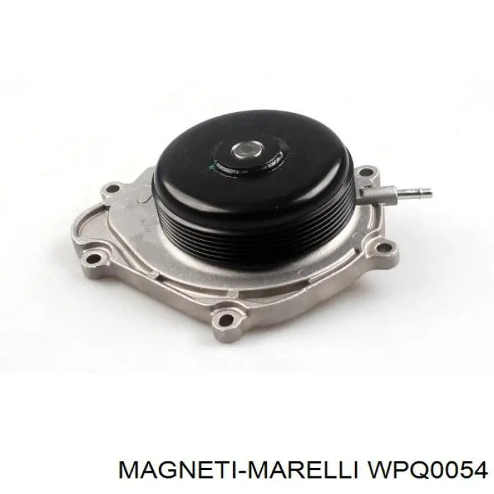 WPQ0054 Magneti Marelli bomba de agua