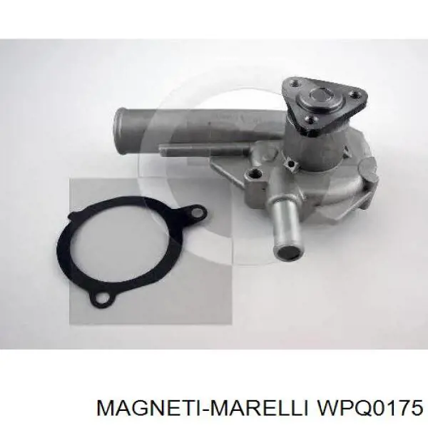 WPQ0175 Magneti Marelli bomba de agua