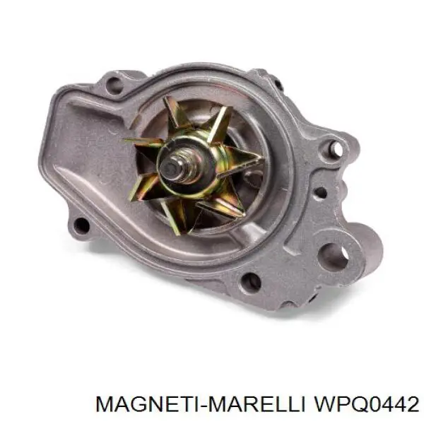 WPQ0442 Magneti Marelli bomba de agua