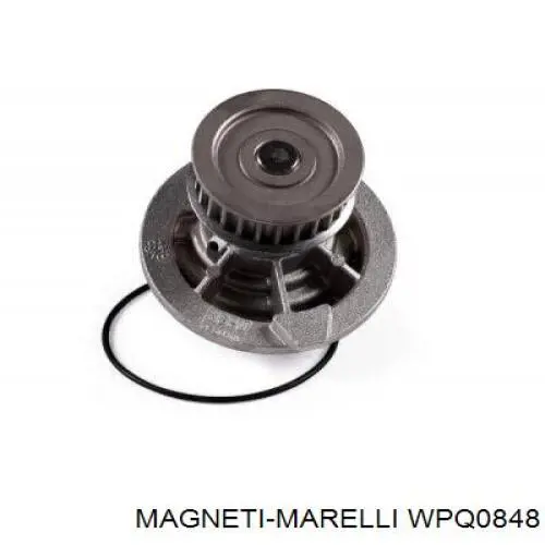 WPQ0848 Magneti Marelli bomba de agua