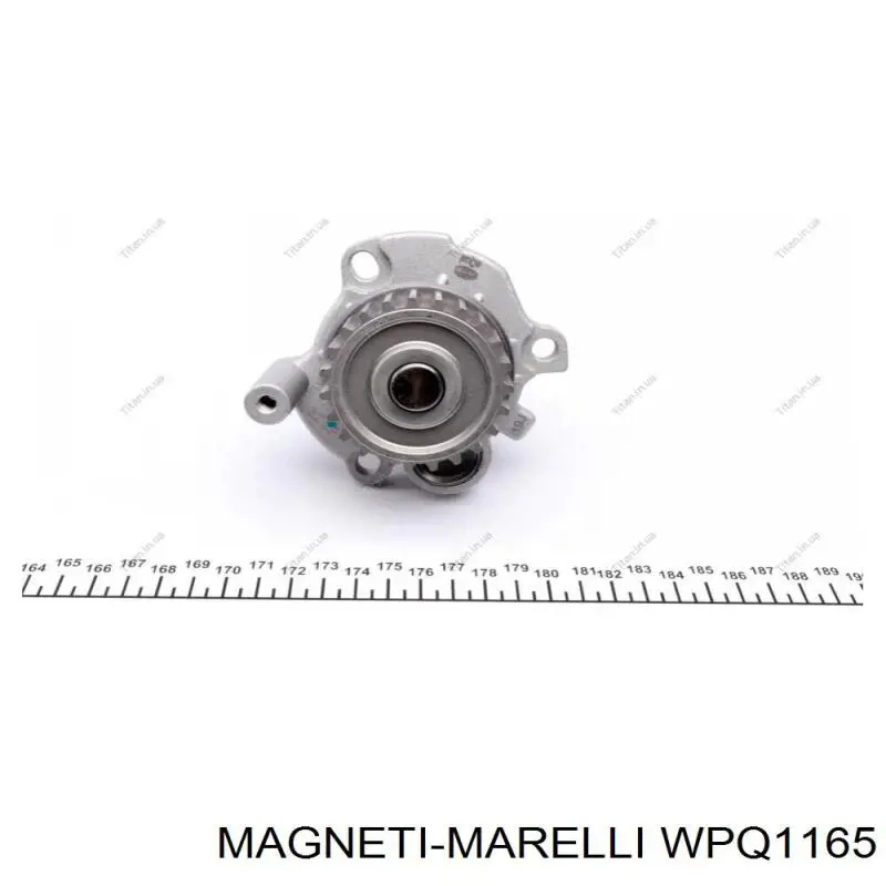 WPQ1165 Magneti Marelli bomba de agua