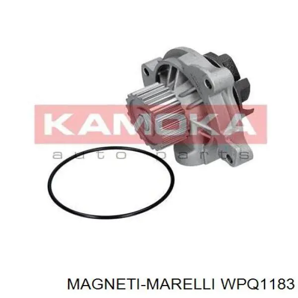 WPQ1183 Magneti Marelli bomba de agua