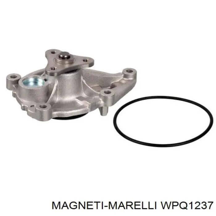 WPQ1237 Magneti Marelli bomba de agua