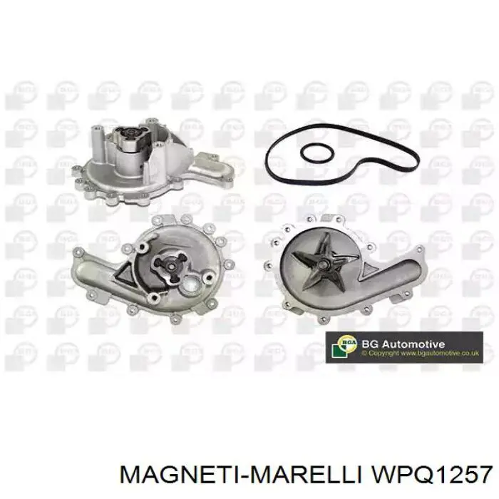 WPQ1257 Magneti Marelli bomba de agua, completo con caja