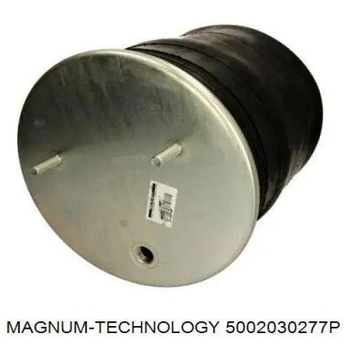Bolsa neumática del eje Magnum Technology 5002030277P precio, desde 114,04 EUR