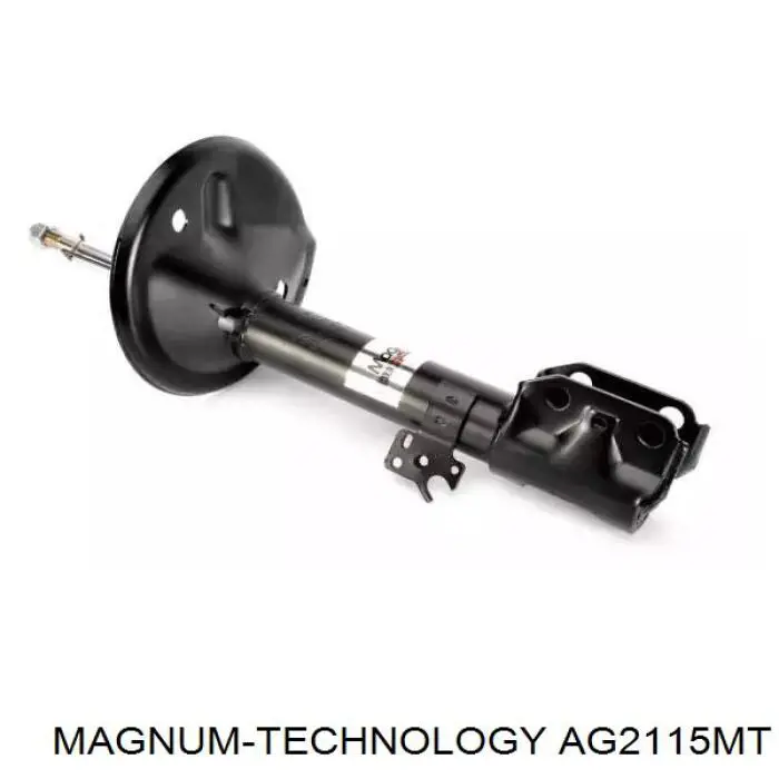 Amortiguador delantero izquierdo Raiso RS313809 precio, desde 71,59 EUR