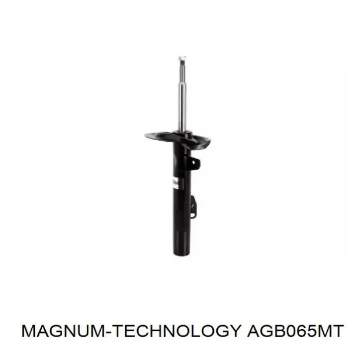 Comprar RS317564 Raiso Amortiguador delantero derecho