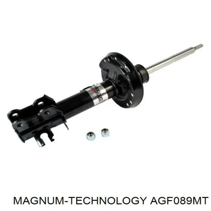 Comprar RS315873 Raiso Amortiguador delantero derecho
