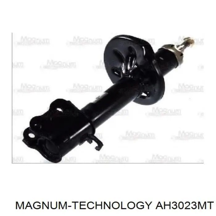RS200173 Raiso Amortiguador frontal izquierdo