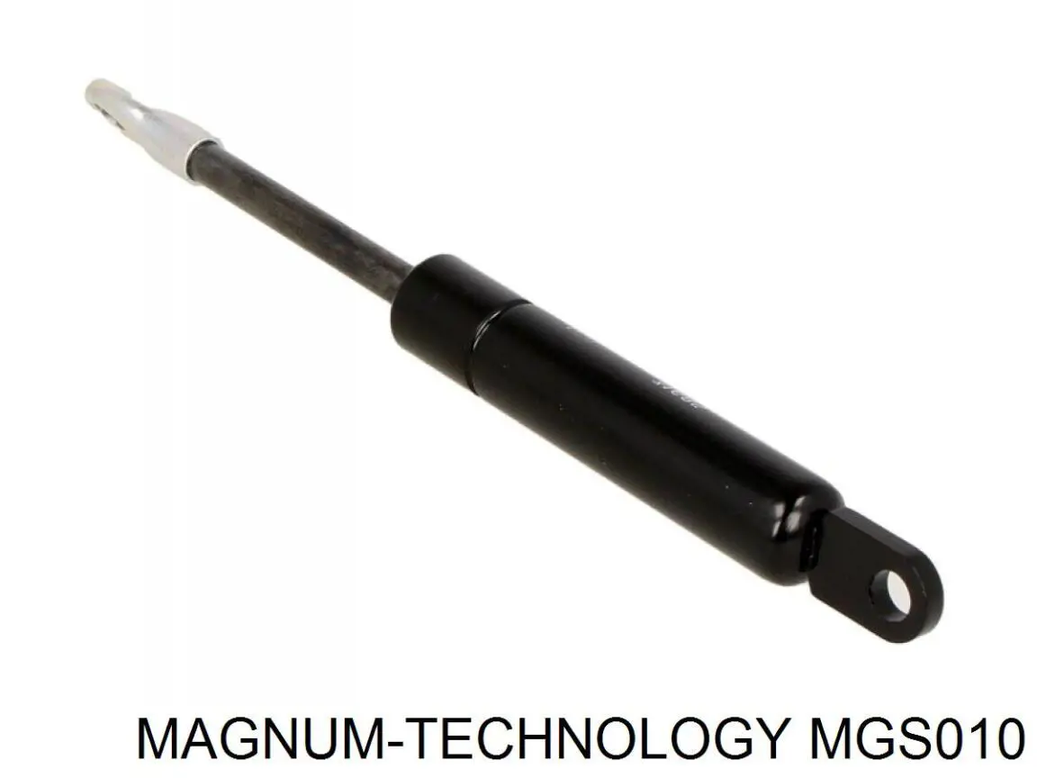 MGS010 Magnum Technology