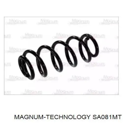 Muelle delantero Raiso SF122TP precio, desde 36,02 EUR