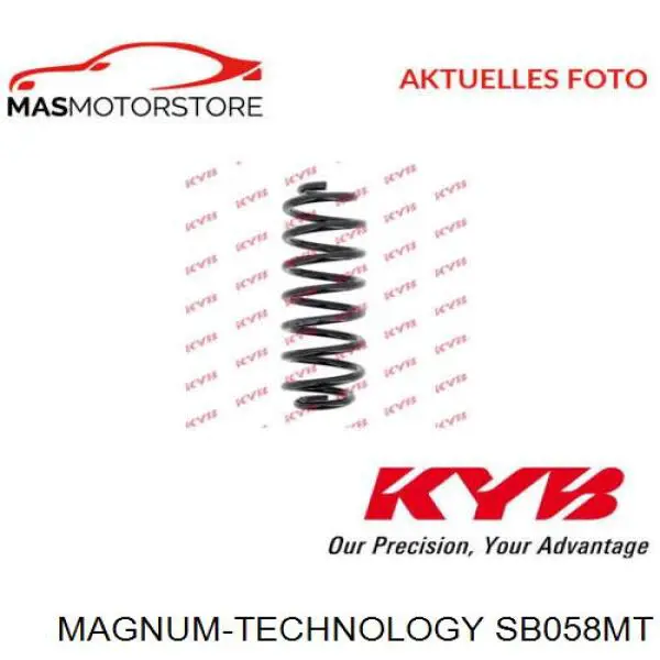 Muelle trasero 75884 Asam