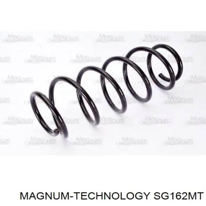 Muelle de suspensión trasero Raiso SR167TP precio, desde 23,72 EUR