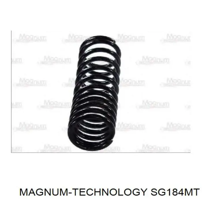 SR085TP Raiso Muelle trasero