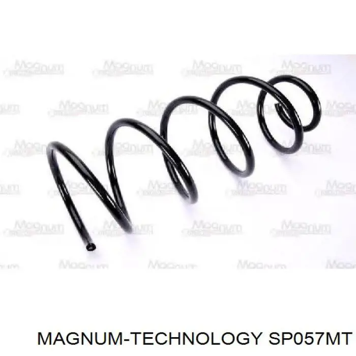 Comprar SR156TP Raiso Muelle de eje trasero