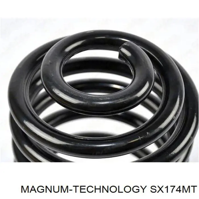 Muelle de suspensión eje trasero Renault Trafic 2 FL