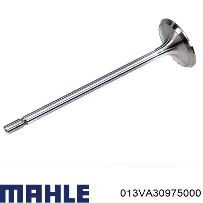 013VA30975000 Mahle Original