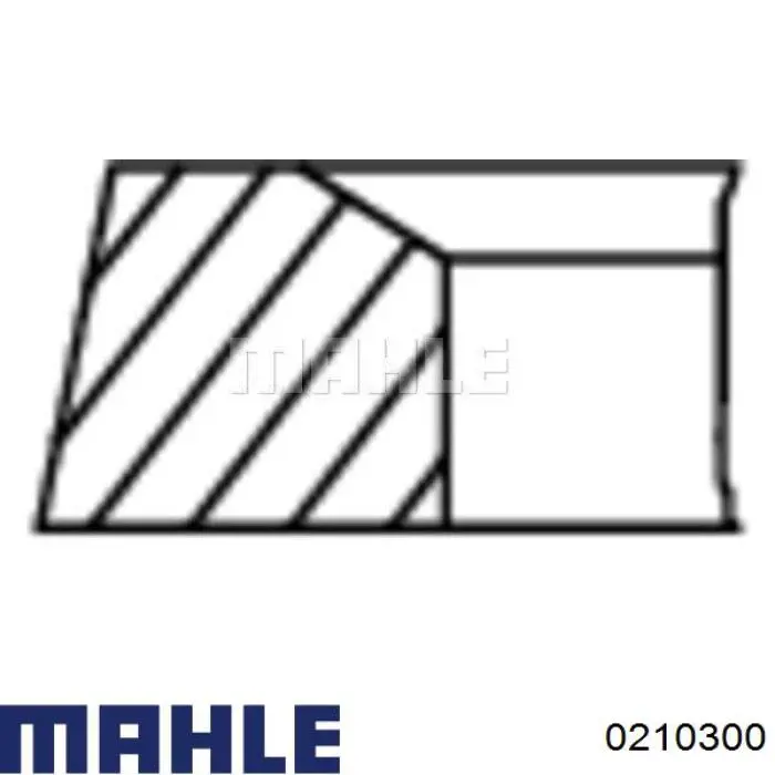 Pistón para cilindro Mahle Original 0210300 precio, desde 79,61 EUR