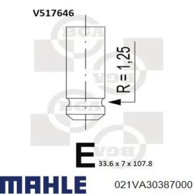 021VA30387000 Mahle Original