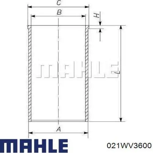 021WV3600 Mahle Original