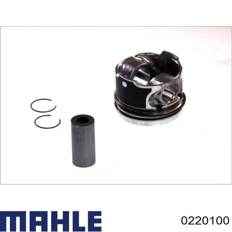 0220100 Mahle Original Pistón para cilindro