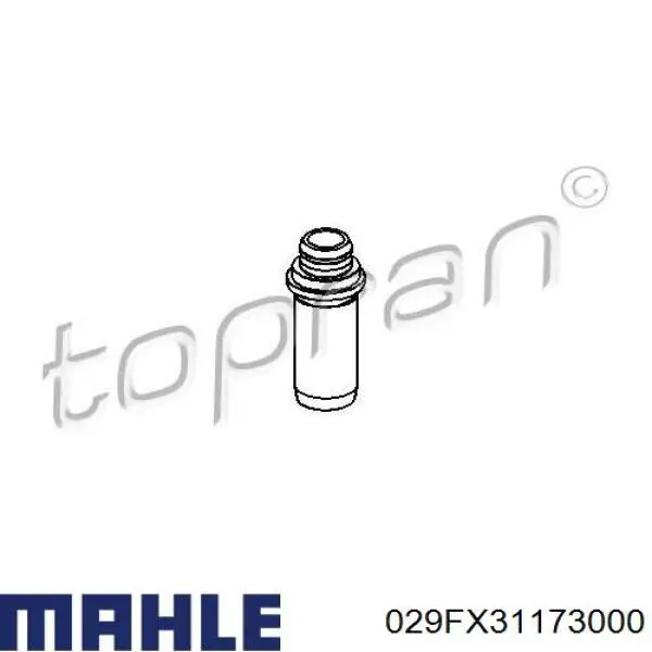 Guía de válvula Mahle Original 029FX31173000 precio, desde 3,39 EUR