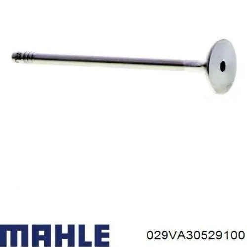 Comprar 029VA30529100 Mahle Original Válvula escape