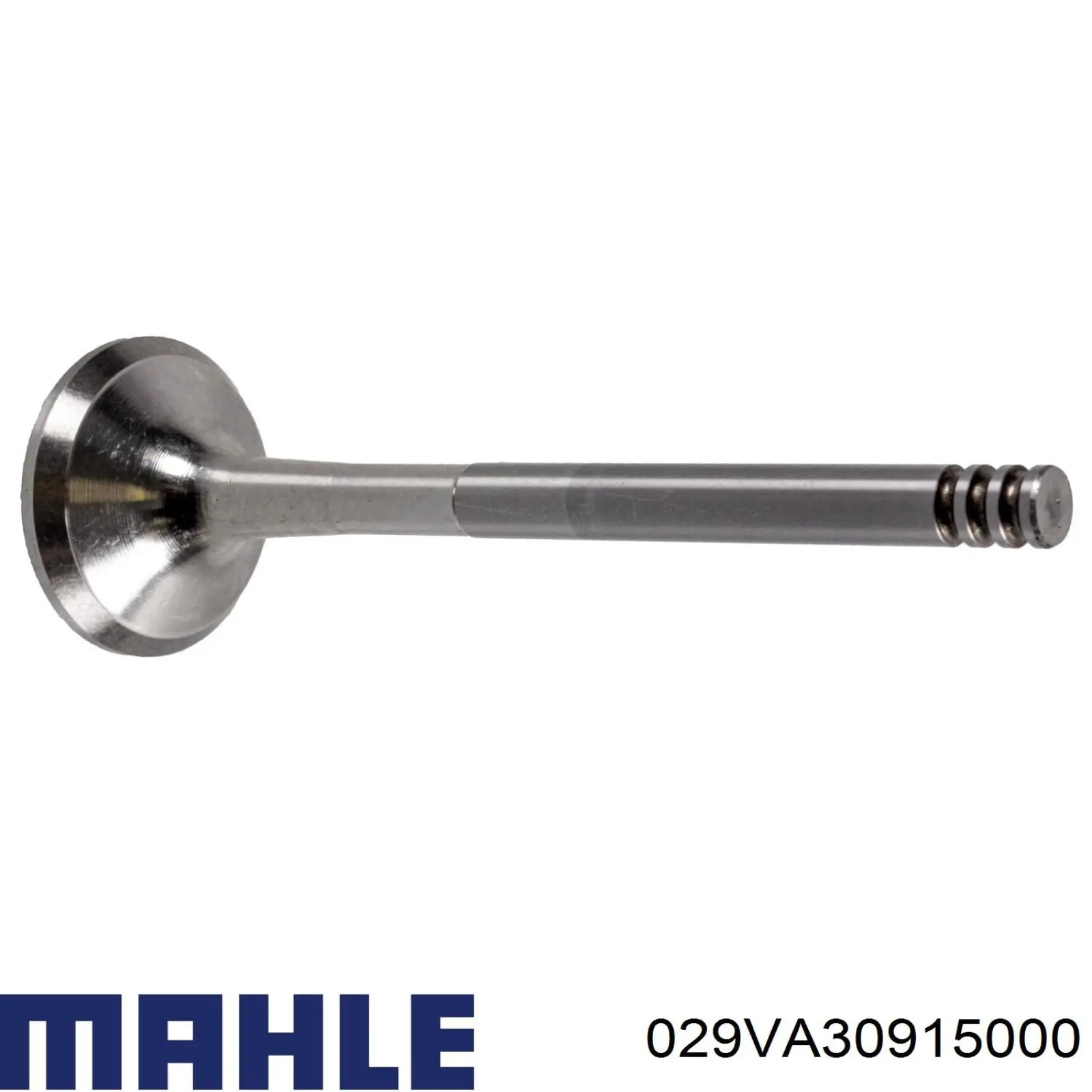 Válvula de escape Mahle Original 029VA30915000 precio, desde 5,90 EUR
