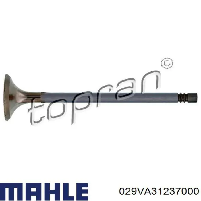 029VA31237000 Mahle Original válvula de escape