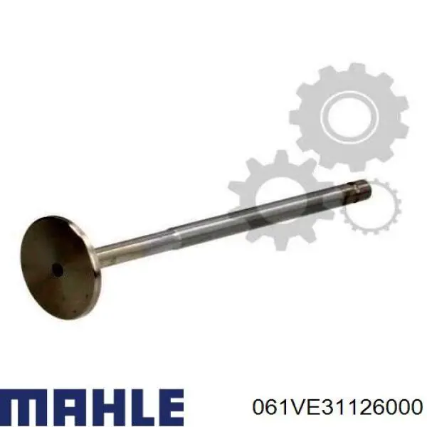 061VE31126000 Mahle Original válvula de admisión