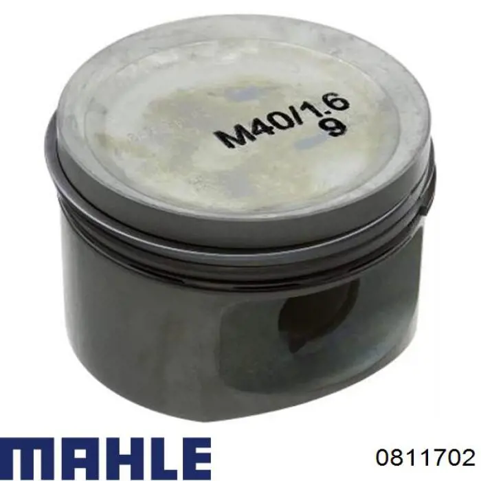 0811702 Mahle Original