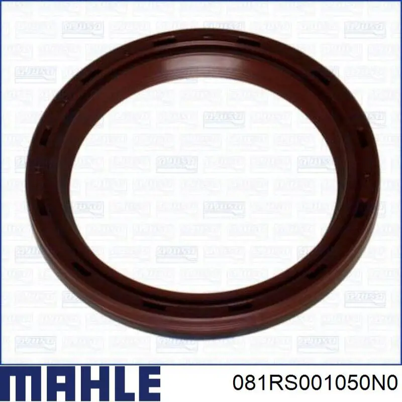 081RS001050N0 Mahle Original Juego de anillos de pistón para 1 cilindro, STD