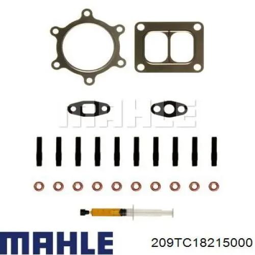 209TC18215000 Mahle Original