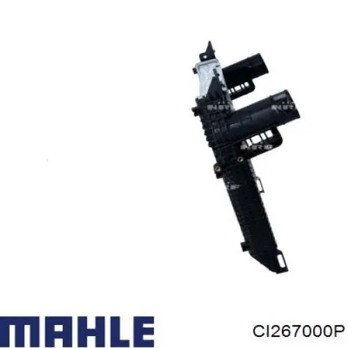 CI267000P Mahle Original