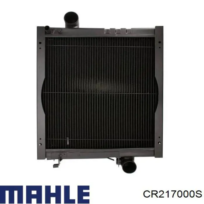 CR217000S Mahle Original