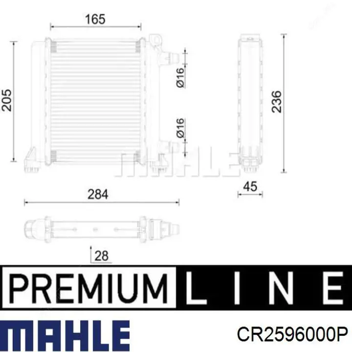 CR2596000P Mahle Original