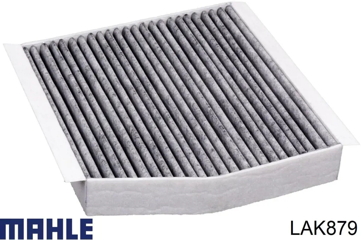 LAK879 Mahle Original Filtro antipolen
