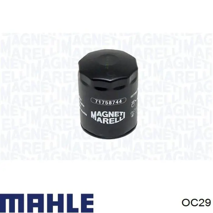 OC29 Mahle Original correa de transmision, juego completo