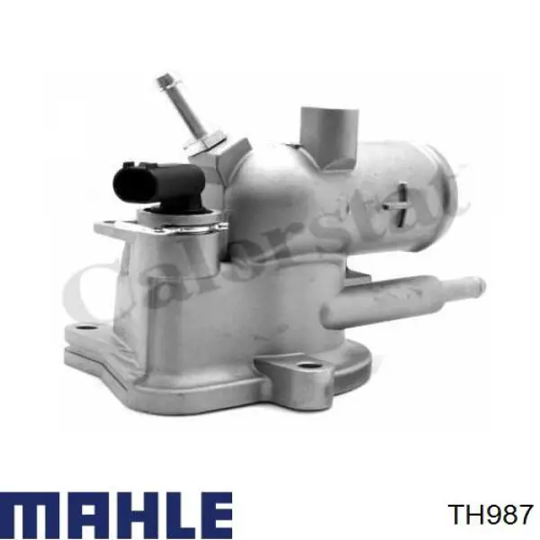 Comprar TH987 Mahle Original Termostato
