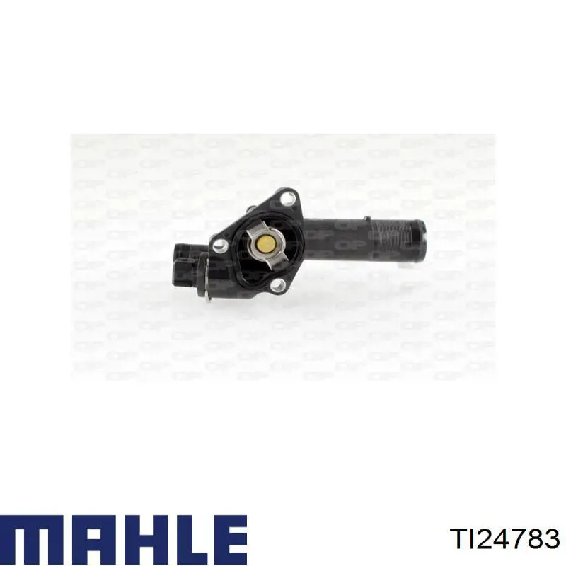 Termostato, refrigerante Nissan Tiida C11X