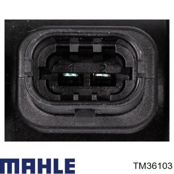 TM36103 Mahle Original termostato