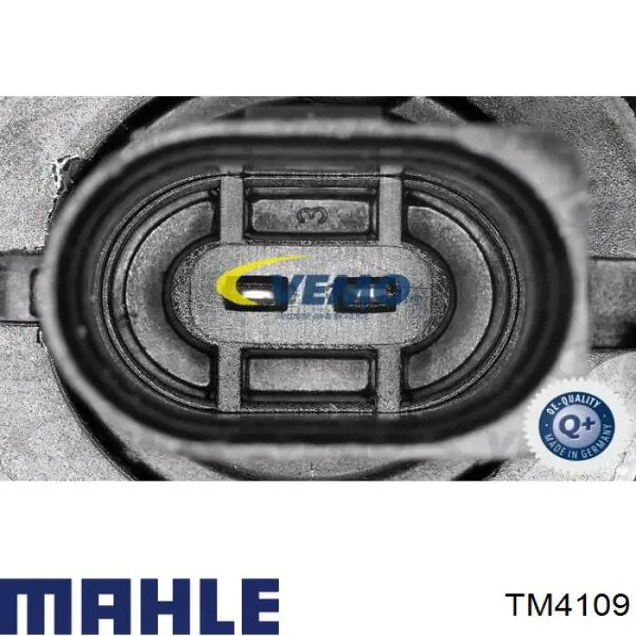 TM4109 Mahle Original termostato