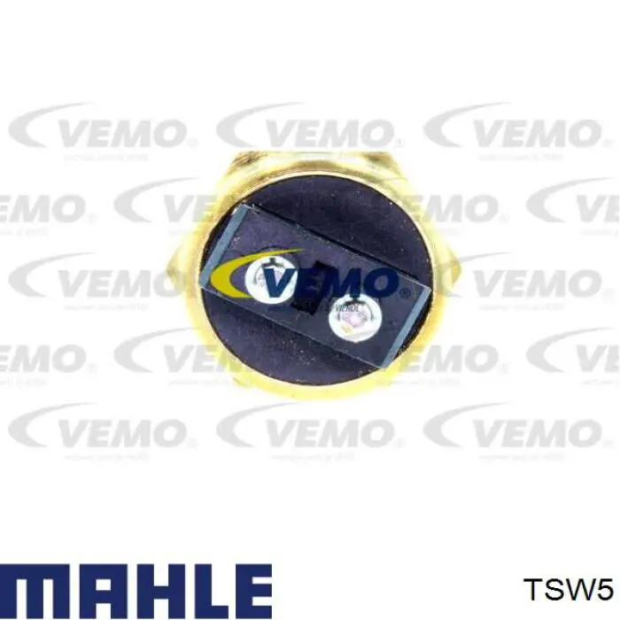 TSW5 Mahle Original