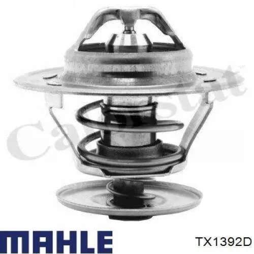 Termostato refrigerante ERA Benelux 350171A